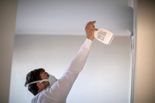 Best White Mold Remediation in Little Ferry, NJ