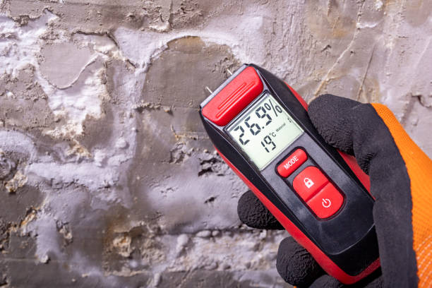 Best Post-Flood Mold Remediation in Little Ferry, NJ